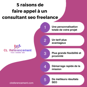 Infographie récapitulative des 5 raisons de faire appel à un consultant seo freelance à Mulhouse